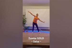 Gentle Zumba Gold Salsa: Dance Your Way Fit! The Ultimate Zumba Guide: Dance Your Way to a Healthier You Gentle Zumba Gold Salsa: Dance Your Way Fit! | The Ultimate Zumba Guide: Dance Your Way to a Healthier You