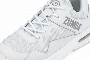 Stylish White Zumba Shoes: Find Your Groove! | The Ultimate Zumba Guide: Dance Your Way to a Healthier You