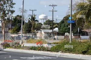 Find Zumba Classes in South Gate, CA: Dance Fitness! The Ultimate Zumba Guide: Dance Your Way to a Healthier You Find Zumba Classes in South Gate, CA: Dance Fitness! | The Ultimate Zumba Guide: Dance Your Way to a Healthier You