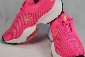 Best Zumba Training Shoes for Dance Fitness The Ultimate Zumba Guide: Dance Your Way to a Healthier You Best Zumba Training Shoes for Dance Fitness | The Ultimate Zumba Guide: Dance Your Way to a Healthier You