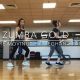Easy Zumba Gold Choreography for Active Seniors & Beginners | The Ultimate Zumba Guide: Dance Your Way to a Healthier You