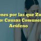 Por qu zumba el oido? Causas y soluciones al zumbido | The Ultimate Zumba Guide: Dance Your Way to a Healthier You