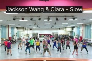 Best Slow Zumba Songs: Easy Dance Fitness Rhythms | The Ultimate Zumba Guide: Dance Your Way to a Healthier You