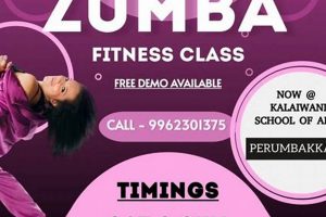 Zumba Class Costs: Fees Per Month [Guide] | The Ultimate Zumba Guide: Dance Your Way to a Healthier You