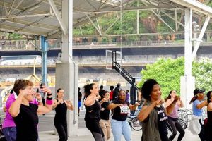Find Zumba Classes Brooklyn, NY: Dance Your Way Fit! | The Ultimate Zumba Guide: Dance Your Way to a Healthier You