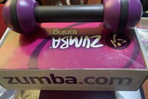 Boost Your Zumba with Weights: Sculpt & Tone! | The Ultimate Zumba Guide: Dance Your Way to a Healthier You