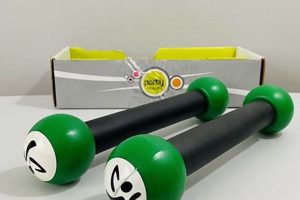 Tone Up Now! Green Zumba Toning Sticks Weight Guide | The Ultimate Zumba Guide: Dance Your Way to a Healthier You