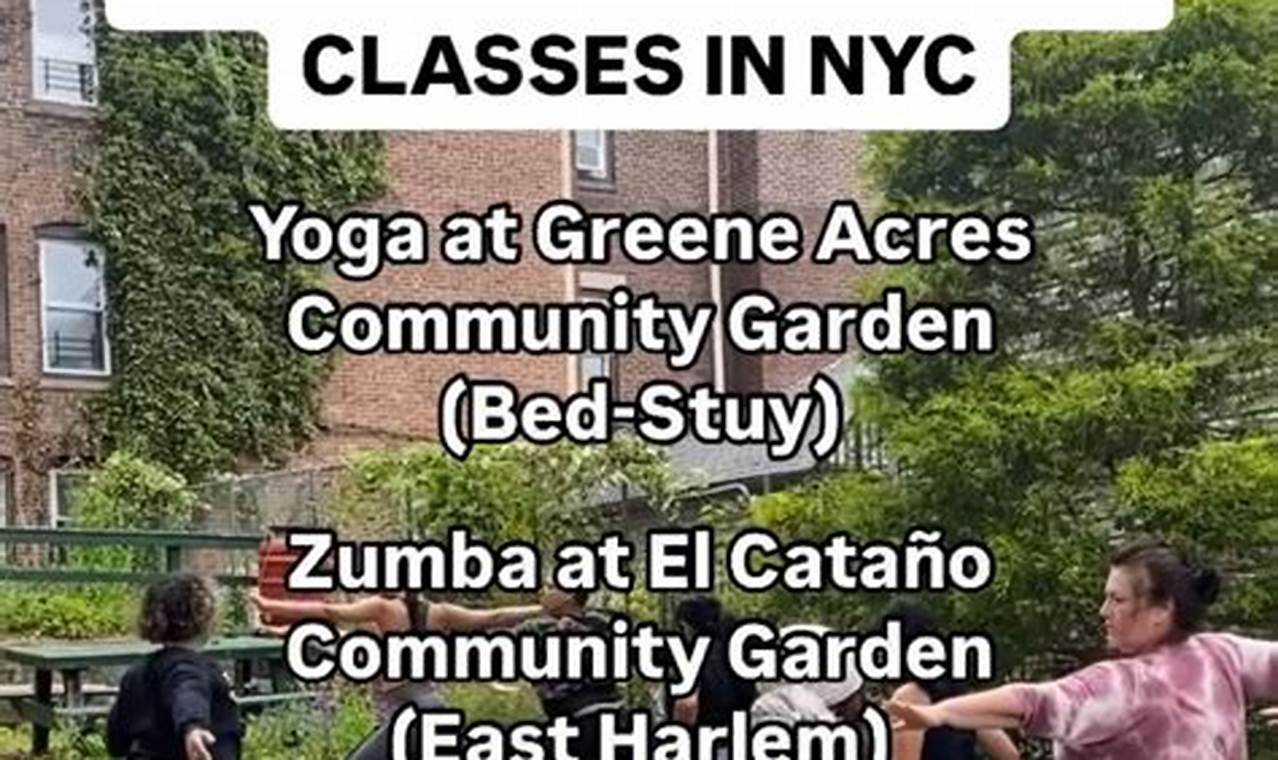 Find Best Zumba Classes Harlem Area: Dance Fitness! | The Ultimate Zumba Guide: Dance Your Way to a Healthier You