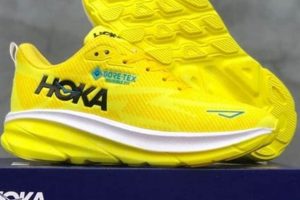 Best Hoka Zumba Shoes: Dance Comfortably! | The Ultimate Zumba Guide: Dance Your Way to a Healthier You