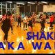 Unleash Fitness: Shakira Zumba Dance Workout Fun! | The Ultimate Zumba Guide: Dance Your Way to a Healthier You