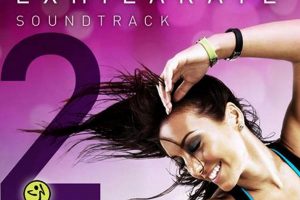 Best Zumba Fitness Soundtrack: Energize Your Dance Workout! | The Ultimate Zumba Guide: Dance Your Way to a Healthier You