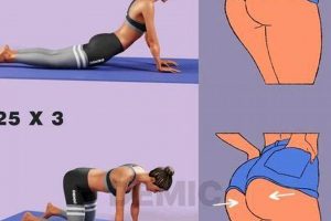 Boost Your Butt: Zumba Butts Workout Blast! | The Ultimate Zumba Guide: Dance Your Way to a Healthier You