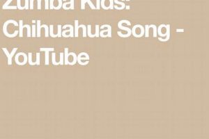 Unleash Your Inner Pup: Chihuahua Zumba Song Rhythms! | The Ultimate Zumba Guide: Dance Your Way to a Healthier You