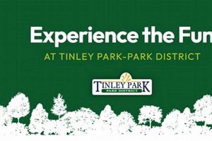 Find Zumba Classes Tinley Park IL: Dance Your Way Fit! The Ultimate Zumba Guide: Dance Your Way to a Healthier You Find Zumba Classes Tinley Park IL: Dance Your Way Fit! | The Ultimate Zumba Guide: Dance Your Way to a Healthier You