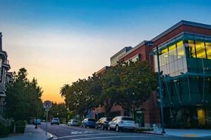 Best Zumba Classes in Mountain View CA | Find Your Fit! | The Ultimate Zumba Guide: Dance Your Way to a Healthier You