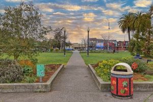 Dance to Fitness: Zumba Arcata CA Classes Near You | The Ultimate Zumba Guide: Dance Your Way to a Healthier You