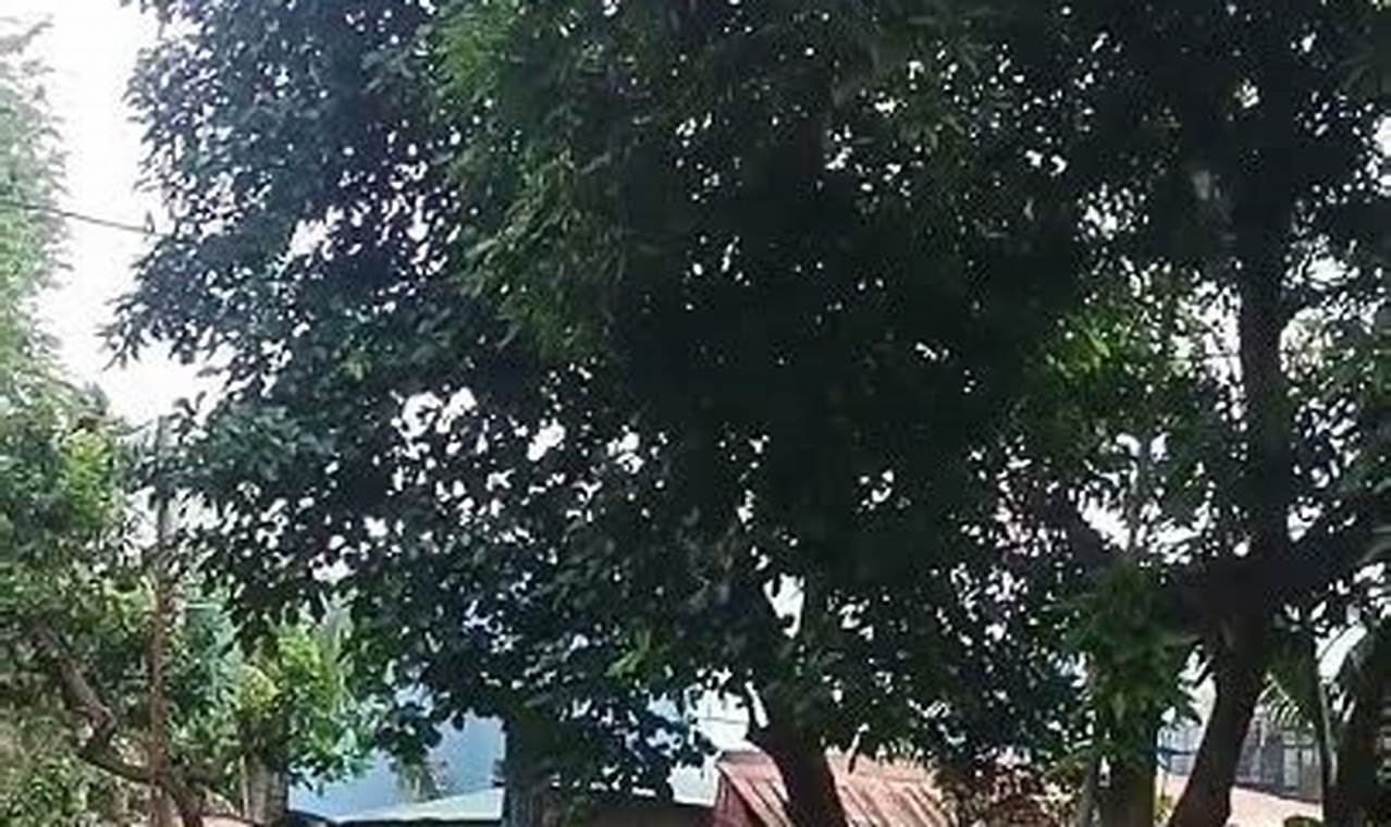 Get Fit: Zumba Hawaiian Dance Workout Fun! The Ultimate Zumba Guide: Dance Your Way to a Healthier You Get Fit: Zumba Hawaiian Dance Workout Fun! | The Ultimate Zumba Guide: Dance Your Way to a Healthier You