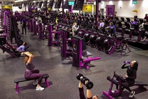 Find Fun & Fit Zumba Classes in Chicopee, MA Today! | The Ultimate Zumba Guide: Dance Your Way to a Healthier You