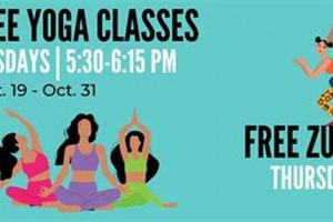 Best Zumba Classes in Fort Worth: Dance Your Way Fit! | The Ultimate Zumba Guide: Dance Your Way to a Healthier You