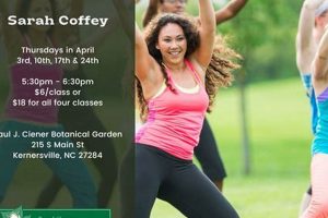 Find Zumba Classes Jacksonville NC | Dance Your Way Fit! | The Ultimate Zumba Guide: Dance Your Way to a Healthier You
