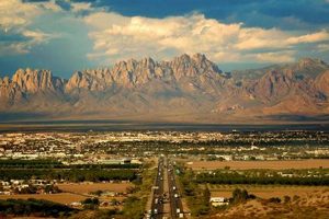 Find Fun Zumba Classes in Las Cruces, NM! | The Ultimate Zumba Guide: Dance Your Way to a Healthier You