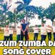 Best Zum Zum Zumba Song Workout Mix | The Ultimate Zumba Guide: Dance Your Way to a Healthier You