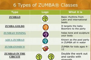 Understanding Zumba Class Structure: A Guide to Success | The Ultimate Zumba Guide: Dance Your Way to a Healthier You