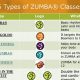 Understanding Zumba Class Structure: A Guide to Success | The Ultimate Zumba Guide: Dance Your Way to a Healthier You