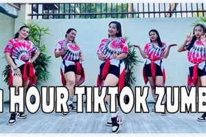 Dance Craze: TikTok Zumba Dance Workout Fun! The Ultimate Zumba Guide: Dance Your Way to a Healthier You Dance Craze: TikTok Zumba Dance Workout Fun! | The Ultimate Zumba Guide: Dance Your Way to a Healthier You