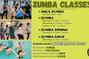 Find Fun Zumba Classes in Michigan Near You! The Ultimate Zumba Guide: Dance Your Way to a Healthier You Find Fun Zumba Classes in Michigan Near You! | The Ultimate Zumba Guide: Dance Your Way to a Healthier You