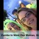 Get Fit: Zumba Classes Des Moines Area - Dance & Tone! | The Ultimate Zumba Guide: Dance Your Way to a Healthier You
