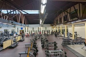 Dance Your Way Fit: Fitness Factory Zumba Classes Near You! | The Ultimate Zumba Guide: Dance Your Way to a Healthier You