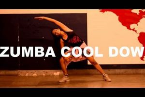 Best Zumba Cool Down Songs (Spanish Rhythms) | The Ultimate Zumba Guide: Dance Your Way to a Healthier You