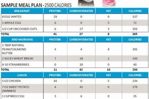 Your Ultimate Zumba Fitness Meal Plan Guide The Ultimate Zumba Guide: Dance Your Way to a Healthier You Your Ultimate Zumba Fitness Meal Plan Guide | The Ultimate Zumba Guide: Dance Your Way to a Healthier You