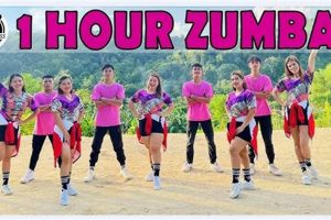 Boost Fitness with a Fun 1 Hour Zumba Class! | The Ultimate Zumba Guide: Dance Your Way to a Healthier You