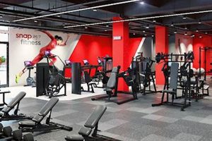 Unleash Your Fitness: Zumba at Snap Fitness Near You! The Ultimate Zumba Guide: Dance Your Way to a Healthier You Unleash Your Fitness: Zumba at Snap Fitness Near You! | The Ultimate Zumba Guide: Dance Your Way to a Healthier You