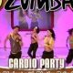 Boost Your Fitness: Zumba Fitness Cardio Party Fun! | The Ultimate Zumba Guide: Dance Your Way to a Healthier You