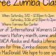Get Fit: YWCA Zumba Class Fun + Fitness! | The Ultimate Zumba Guide: Dance Your Way to a Healthier You