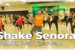 Get Fit: Shake Senora Zumba Dance Workout Fun! | The Ultimate Zumba Guide: Dance Your Way to a Healthier You