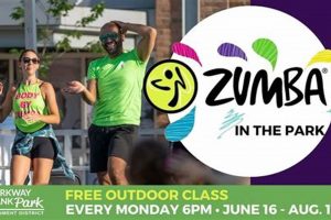 Find Best Zumba Classes Near You: Tinley Park, IL | The Ultimate Zumba Guide: Dance Your Way to a Healthier You