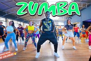 Best Baila Zumba Song Mix: Dance Your Way Fit! | The Ultimate Zumba Guide: Dance Your Way to a Healthier You