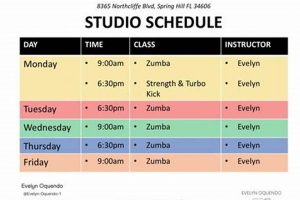 Find Fun Zumba Classes Spring Hill, FL: Dance Fitness! The Ultimate Zumba Guide: Dance Your Way to a Healthier You Find Fun Zumba Classes Spring Hill, FL: Dance Fitness! | The Ultimate Zumba Guide: Dance Your Way to a Healthier You