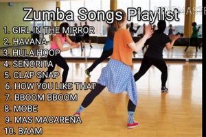 Best Zumba Class Songs Playlist Mix for Fitness! | The Ultimate Zumba Guide: Dance Your Way to a Healthier You