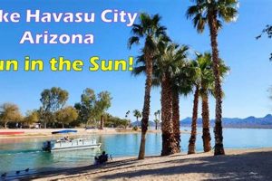 Dance into Shape: Zumba Classes in Lake Havasu City, AZ Today! The Ultimate Zumba Guide: Dance Your Way to a Healthier You Dance into Shape: Zumba Classes in Lake Havasu City, AZ Today! | The Ultimate Zumba Guide: Dance Your Way to a Healthier You