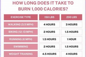 Burn Calories: How Many Calories in a Zumba Class? The Ultimate Zumba Guide: Dance Your Way to a Healthier You Burn Calories: How Many Calories in a Zumba Class? | The Ultimate Zumba Guide: Dance Your Way to a Healthier You