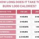 Burn Calories: How Many Calories in a Zumba Class? | The Ultimate Zumba Guide: Dance Your Way to a Healthier You