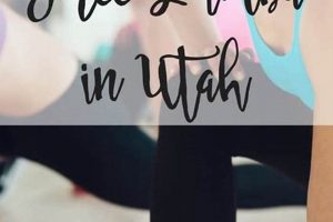 Find Zumba Classes Logan Utah - Dance Your Way Fit! | The Ultimate Zumba Guide: Dance Your Way to a Healthier You